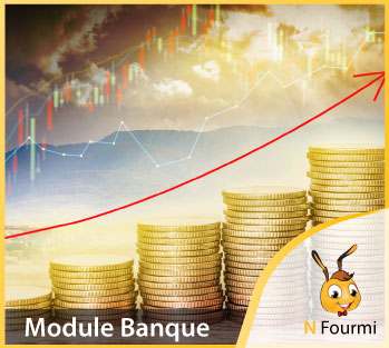 Module-banque-nfourmi